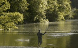 A fisherman on the Russian River